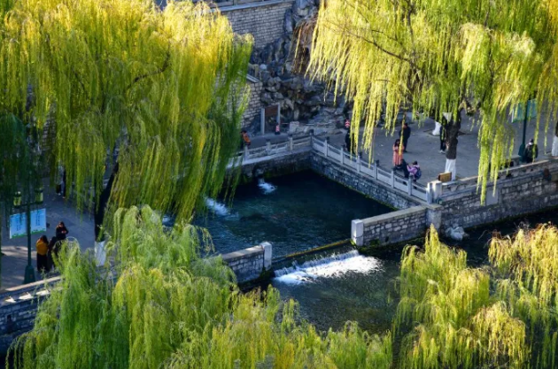 新華社點贊濟南：恍若江南，不經意就會邂逅泉水